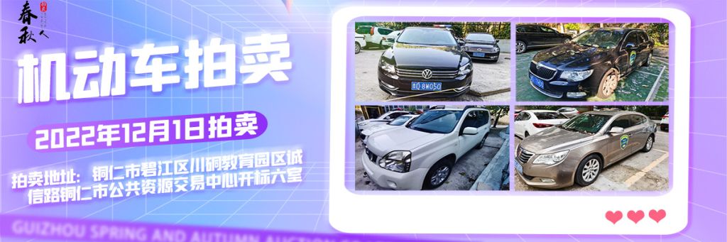 【12月01日】銅仁市15輛機(jī)動(dòng)車拍賣公告
